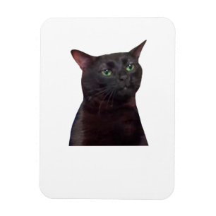 Zoned Out Cat, zoned out Magnet