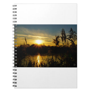 Zonsondergang bij een meertje met rietpluimen. notebook