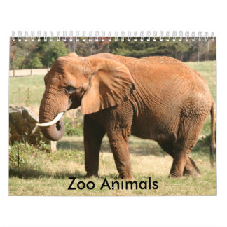 Zoo Animals Calendar