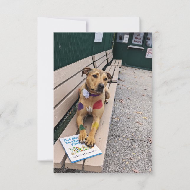 Zoo cosplay book Funny Dog Photo Card (Front)