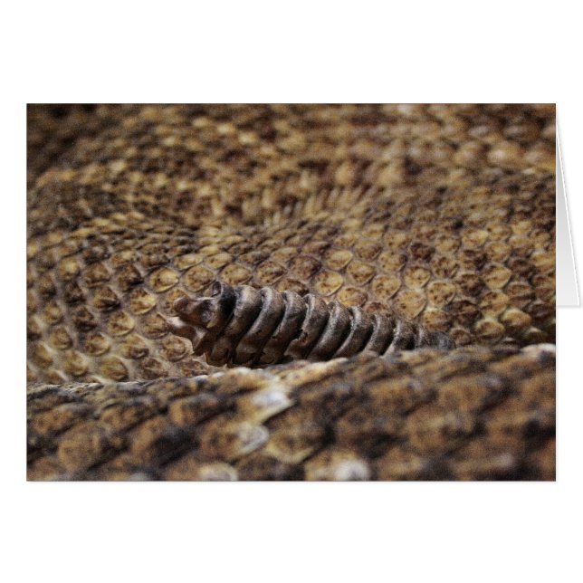 Zoo de Houston (Devant horizontal)