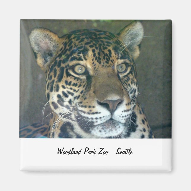 Zoo de parc Woodland Magnet de chat (Devant)