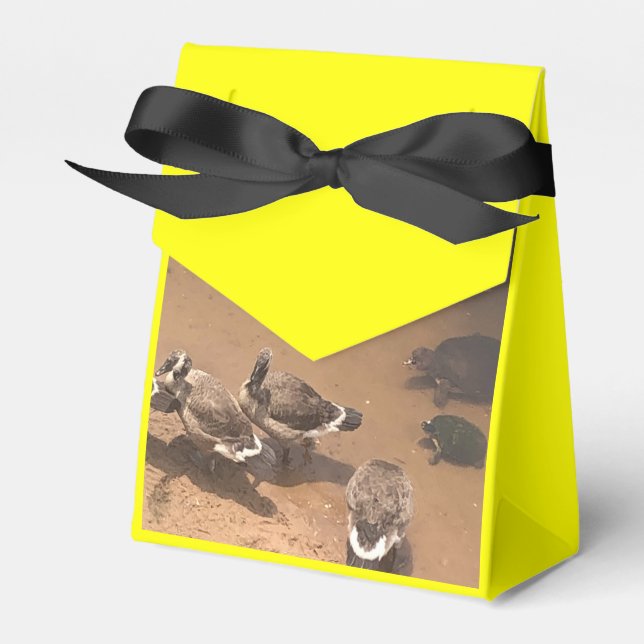 Zoo Love Favor Box (Front Side)