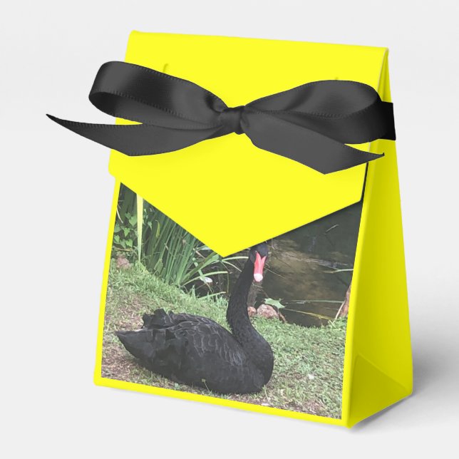 Zoo Love Favor Box (Front Side)