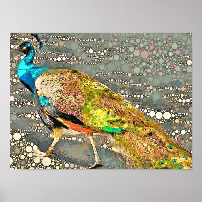 Zoo Peacock Poster (Front)