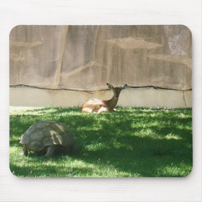 zoo pictures mouse pad (Front)