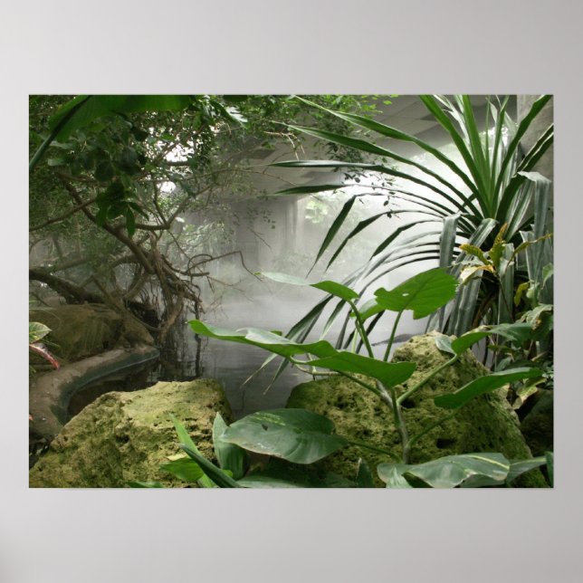 Zoo Rainforest Exhibit Poster (Front)