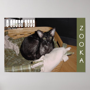 Zooka 2007 poster