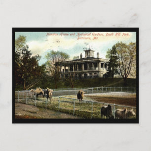 Zoological Gardens, Druid Hill Park, Baltimore Vin Postcard