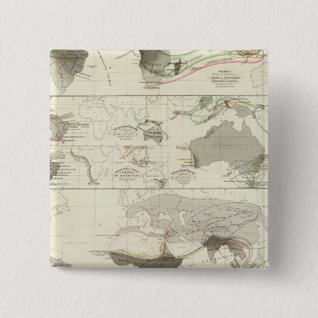 Zoological geography 2 inch square button (Front)