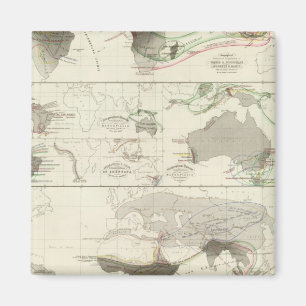 Zoological geography magnet