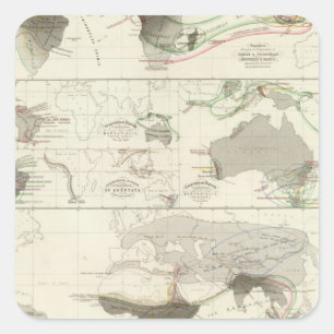 Zoological geography square sticker