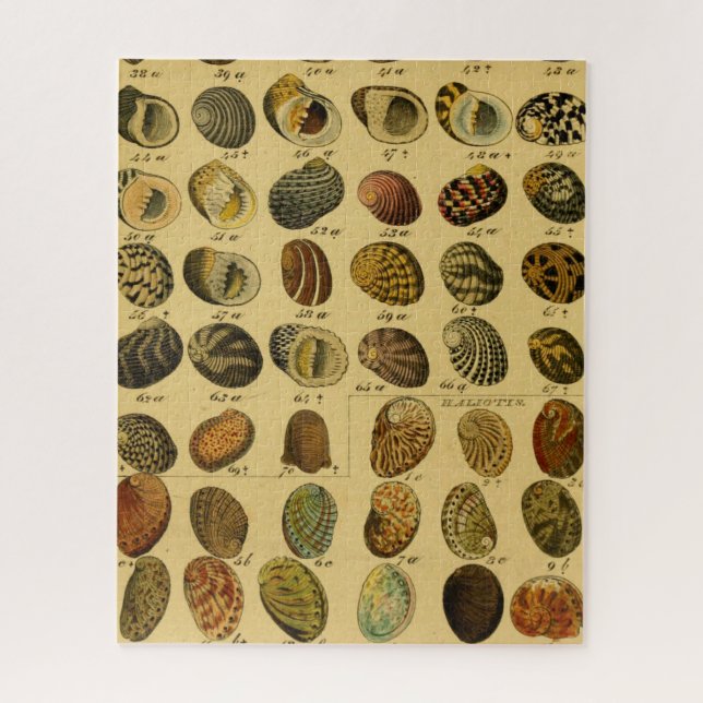 Zoological Sketch Vintage Sea Shells Jigsaw Puzzle (Vertical)