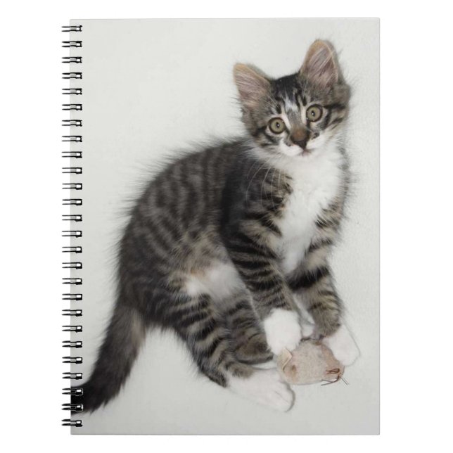 Zorro and His Mouse Notebook (Front)