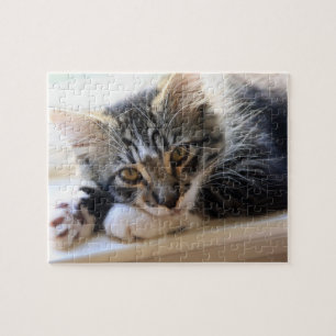 Zorro By The Window Puzzle