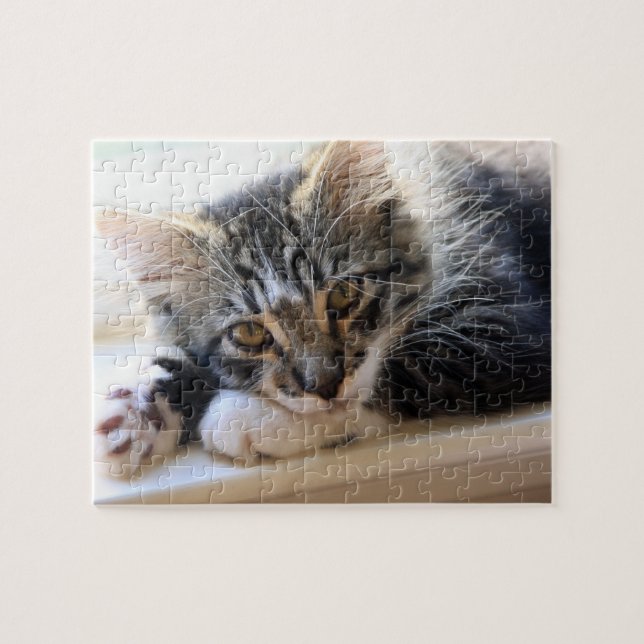 Zorro By The Window Puzzle (Horizontal)