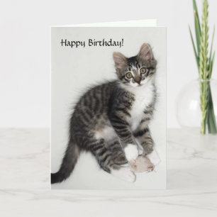 Zorro Happy Birthday Card