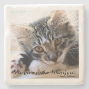 Zorro Kitten By the Window Quote Stone Coaster