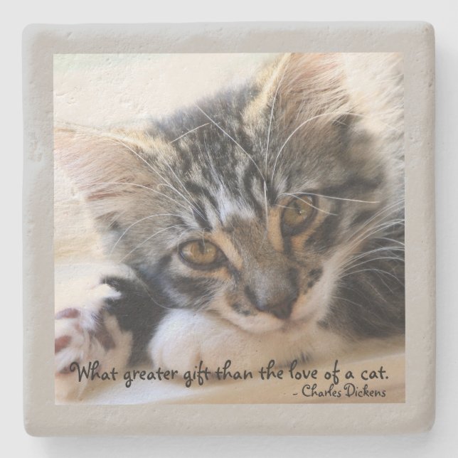 Zorro Kitten By the Window Stone Gray Coaster (Front)