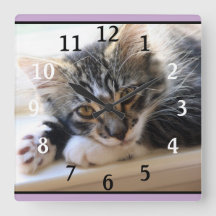 ZorroCat Par Le Mur De Fenêtre Horloge