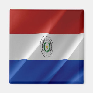 zPY002 PARAGUAY, Waving Flag, America, Fridge Magnet