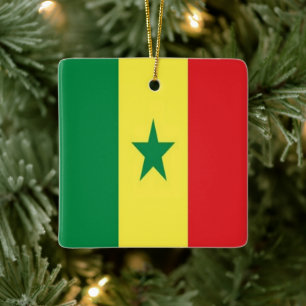 zSN001 SENEGAL, Flag, Africa, Fridge Ceramic Ornament