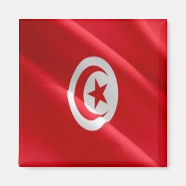 zTN002 TUNISIA, Waving Flag, Africa, Fridge Magnet (Front)