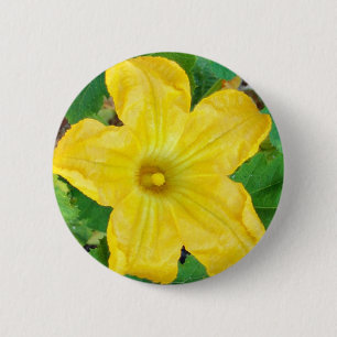 Zucchini Flower 2 Inch Round Button