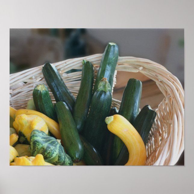 Zucchini Summer Squash Gourds Vegetables Poster (Front)