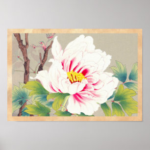 Zuigetsu Ikeda Pink Camellia japanese flower art Poster