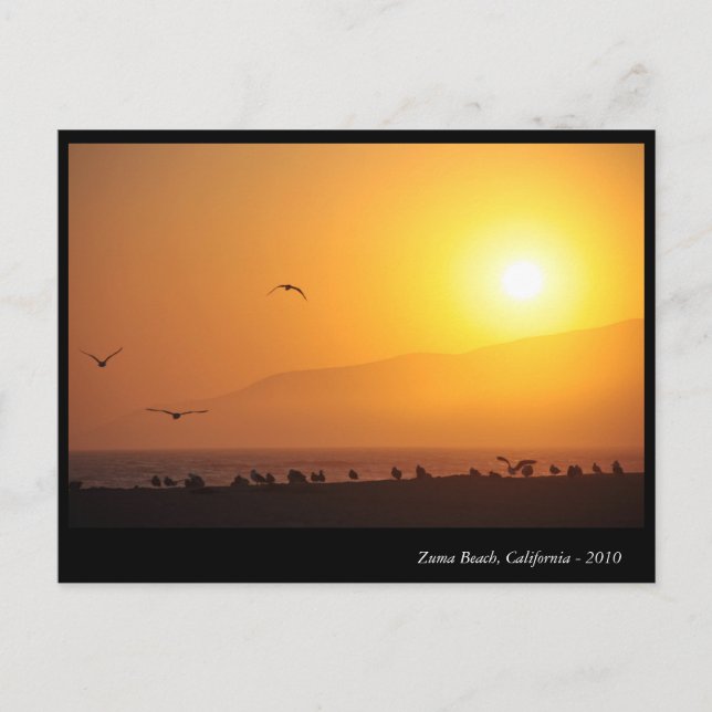 Zuma Beach, California Holiday Postcard (Front)