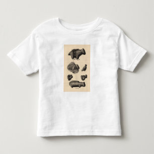 Zuni fetiches toddler t-shirt