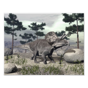 Zuniceratops dinosaur - 3D render Photo Print
