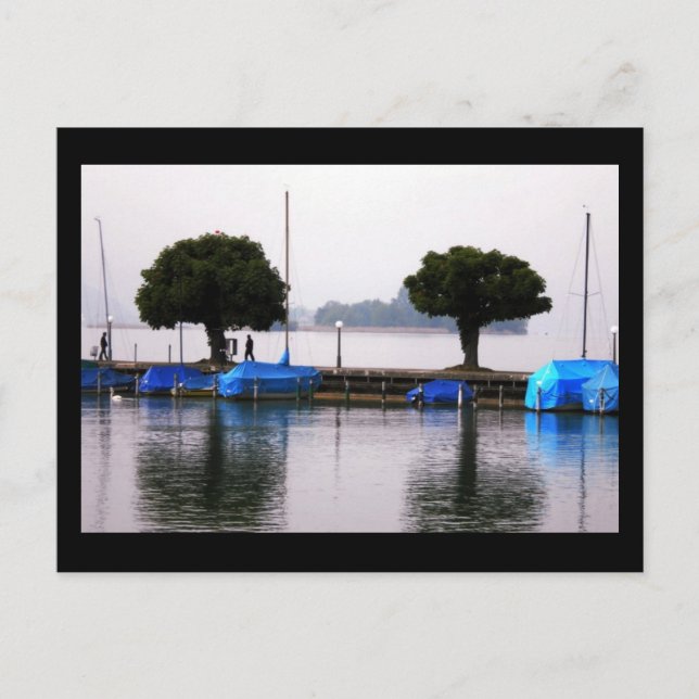 Zûrich Lake Photo Colette Postcard (Front)