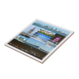 zUS040 MIAMI, FLORIDA, Mosaic, America, Tile