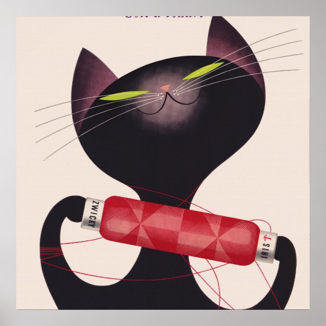 Zwicky Cat Poster by Donald Brun (Front)