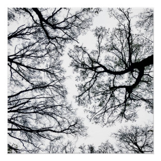 Zwollenaar Fractal Poster