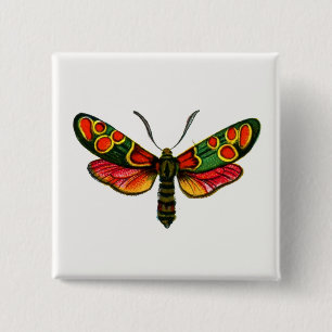 Zygaena carniolica - The Crepuscular Burnet Moth 2 Inch Square Button