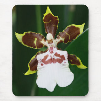Zygopetalum Orchid Mouse Pad