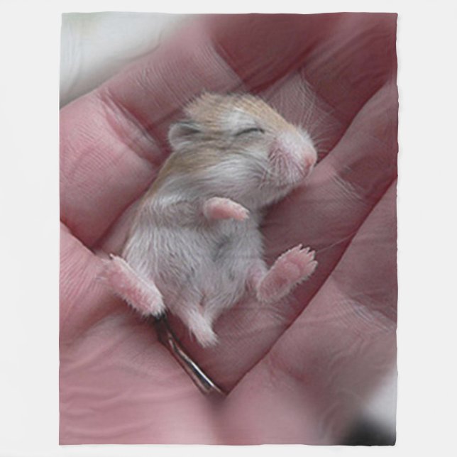 Zzzzzzzzzzzzz Fleece Blanket (Front)